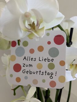 Power Alles Liebe zum Geburtstag