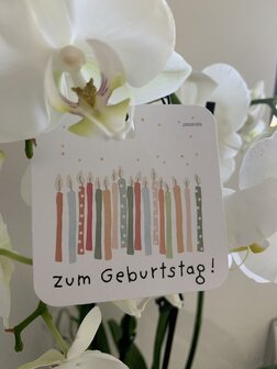 Power zum Geburtstag