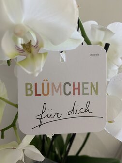 Power Mini Karte Bl&uuml;mchen f&uuml;r dich